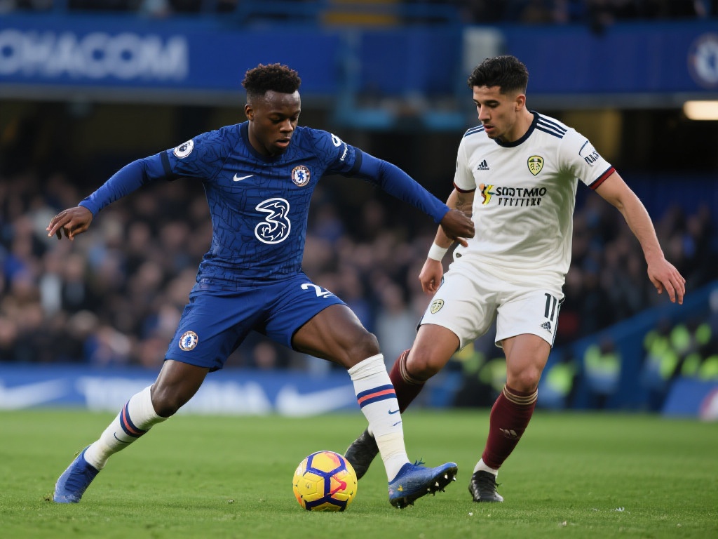 多点开花 多点开花