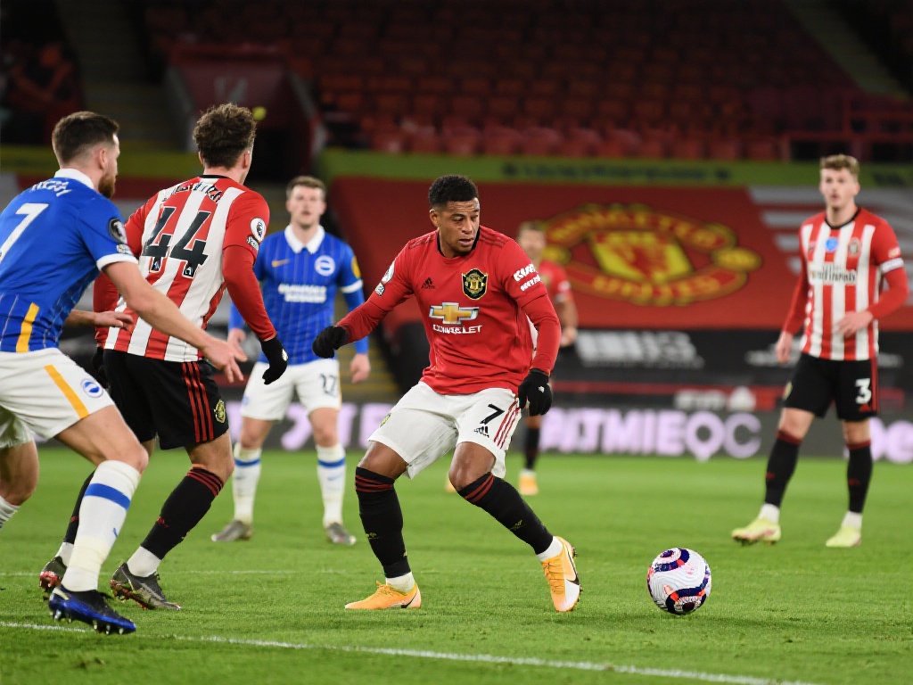 前观看每一 前观看每一