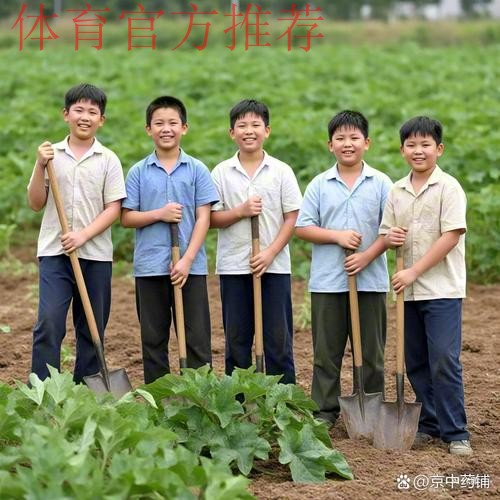 离收成很远的幼儿足球 仍在耕种